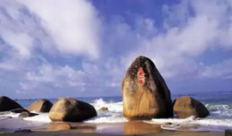 海角吃瓜爆料是真的吗,真相揭秘，是真是假？